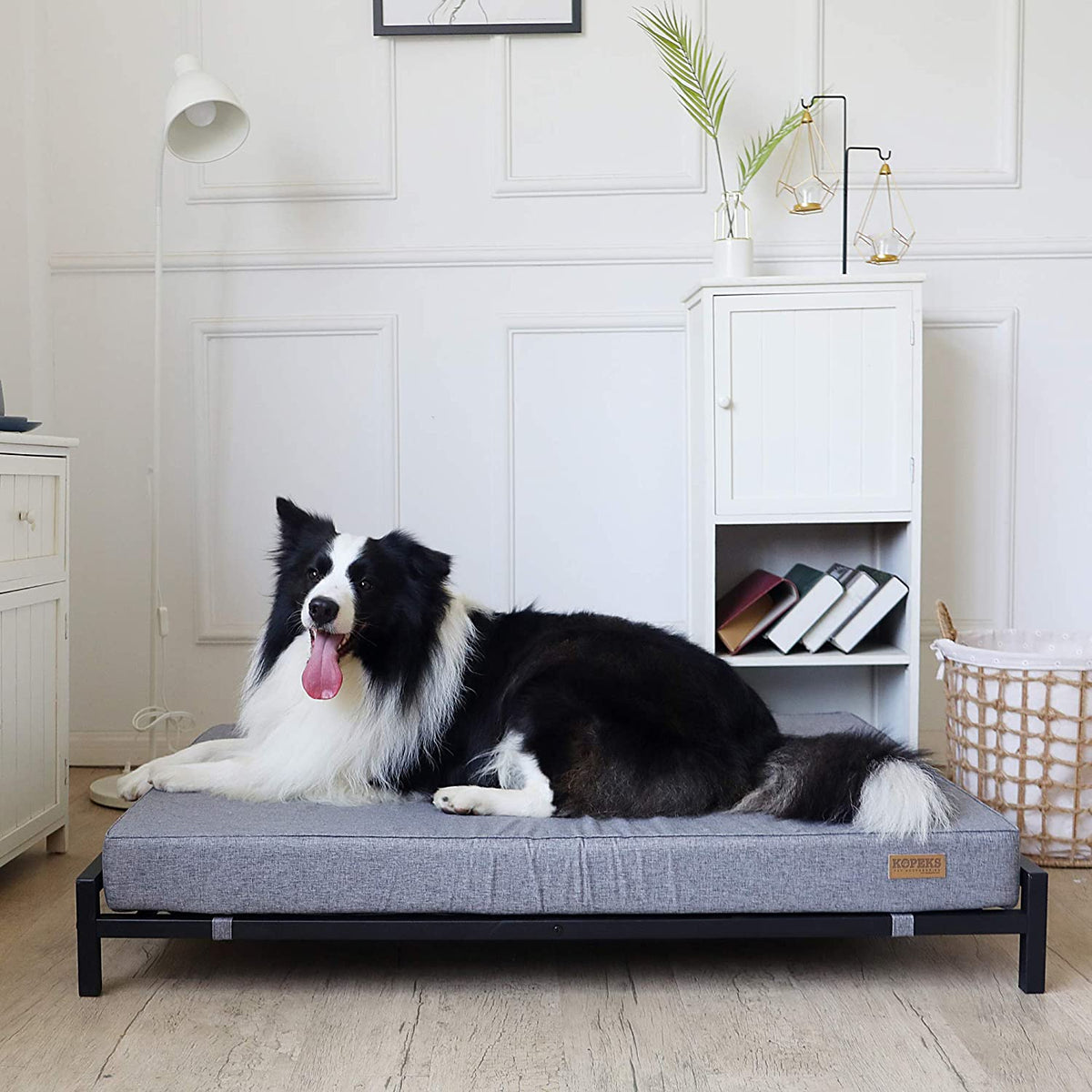Elevated Dog Bed with Orthopedic Foam Mattress Modern Style For La
