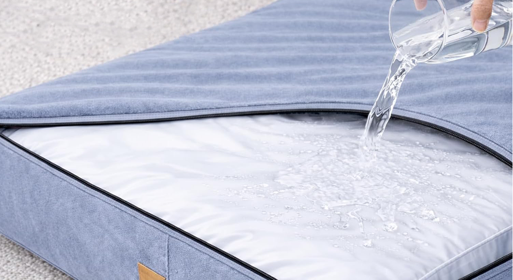 Give Your Dog the Sleep They Deserve