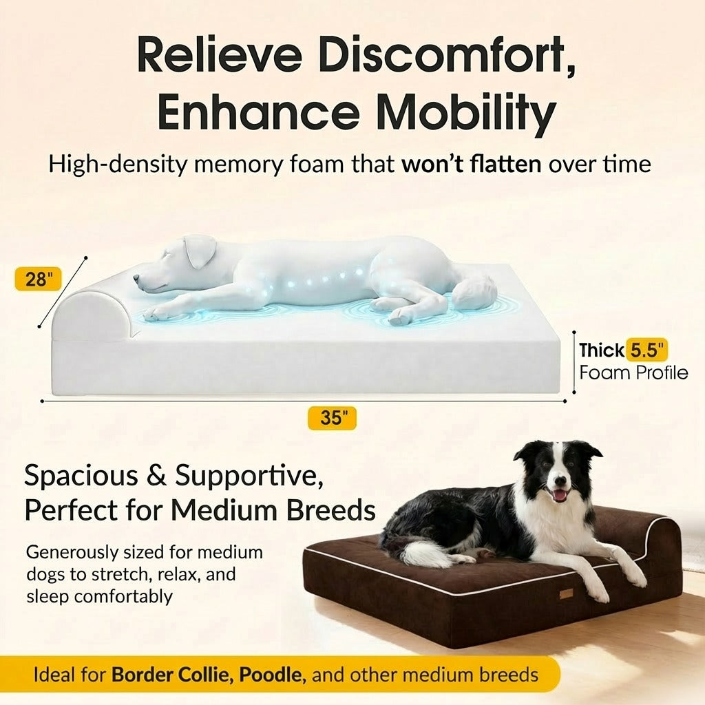 Orthopedic Waterproof Memory Foam Bed With Pillow Brown - Large