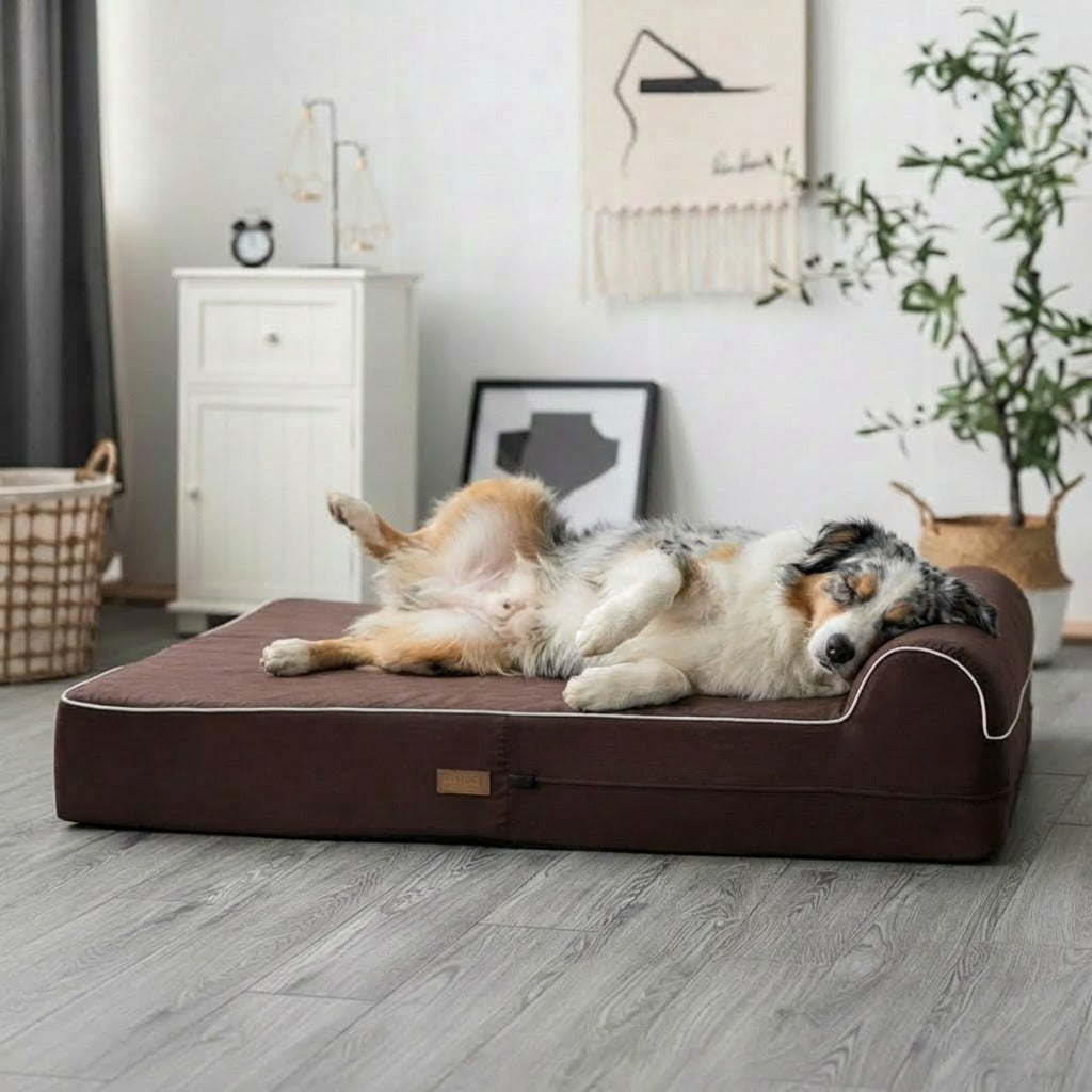 Orthopedic Waterproof Memory Foam Bed With Pillow Brown - Large