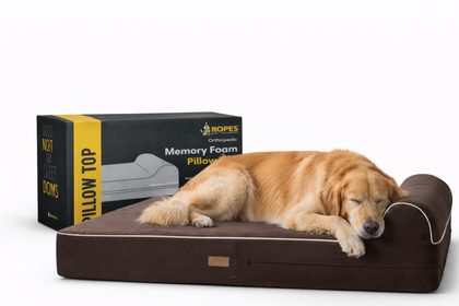 Orthopedic Memory Foam Bed With Pillow Brown - Extra Large