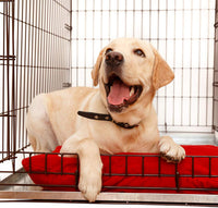 Heavy Duty Multipurpose Galvanized Metal Tray
