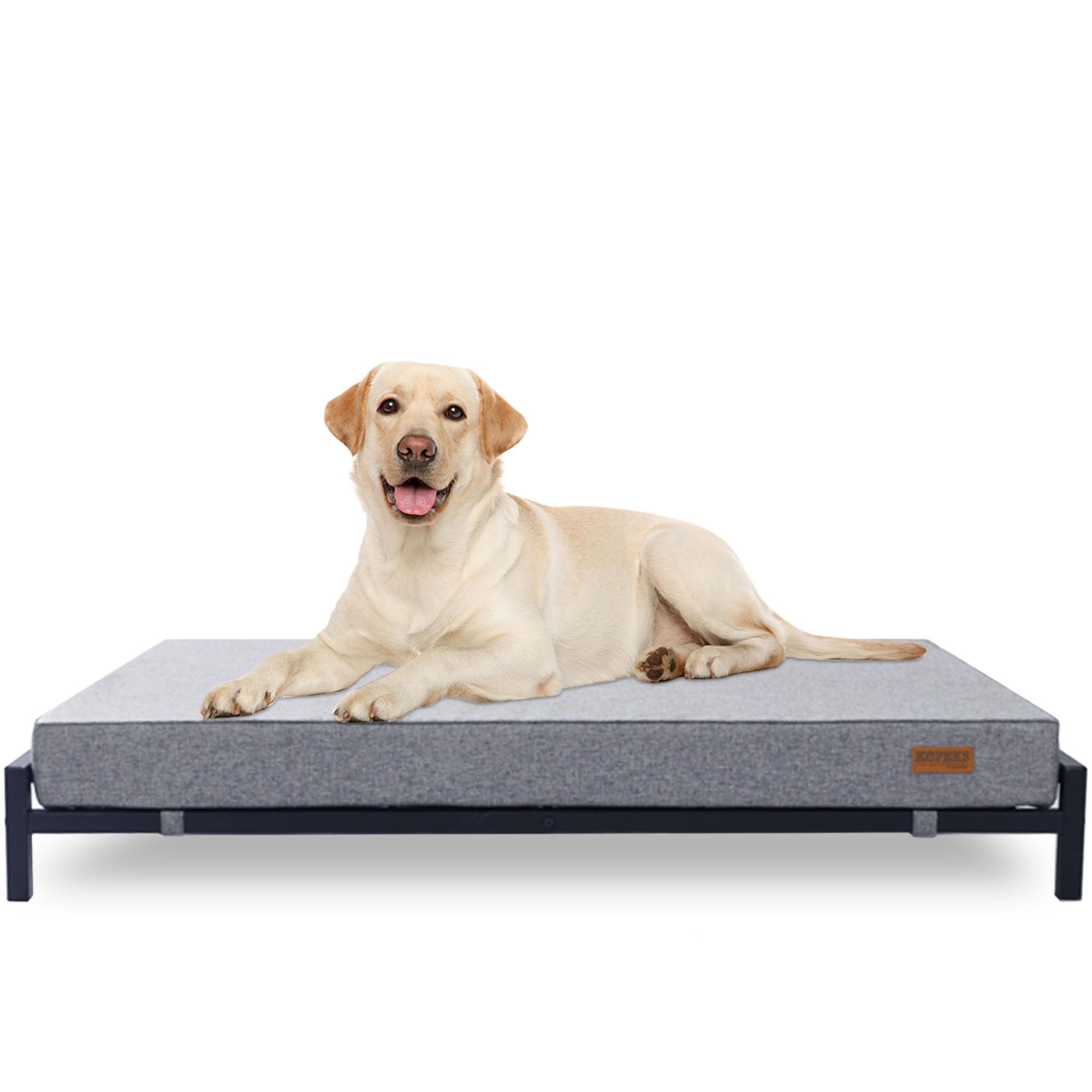 Elevated Dog Bed with Orthopedic Foam Mattress - Modern Style - For Large Dogs