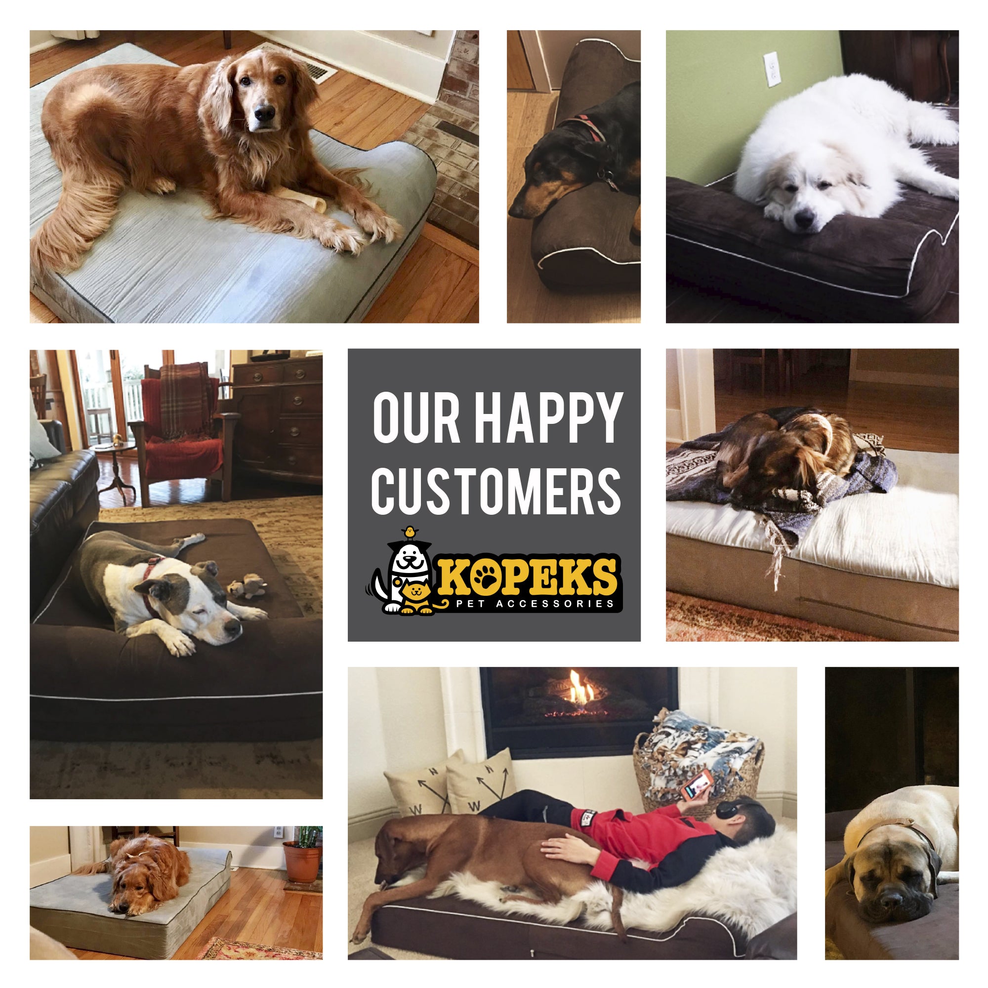 Orthopedic Memory Foam Bed With Pillow Brown - Extra Large